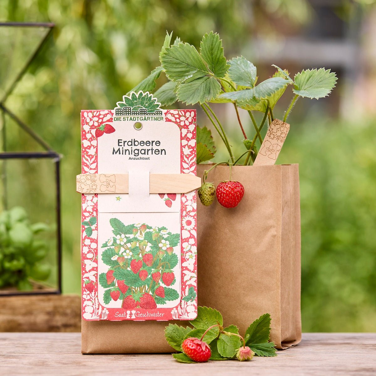 Anzuchtset – Minigarten Erdbeeren - Wurzelwerk Design