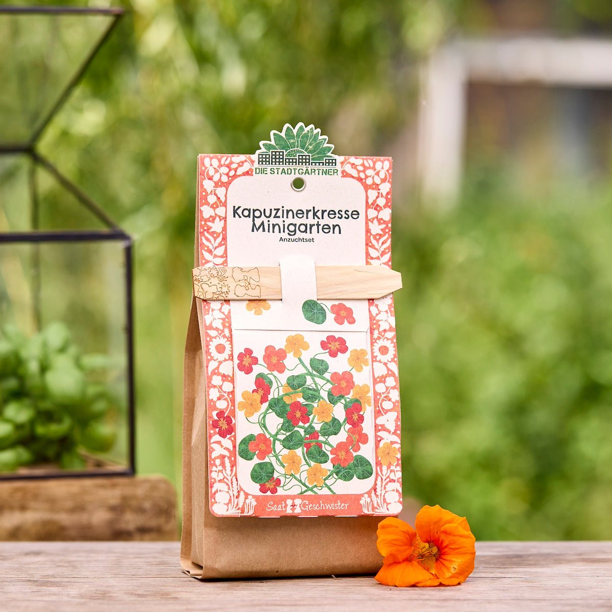 Anzuchtset – Minigarten BIO-Kapuzinerkresse - Wurzelwerk Design