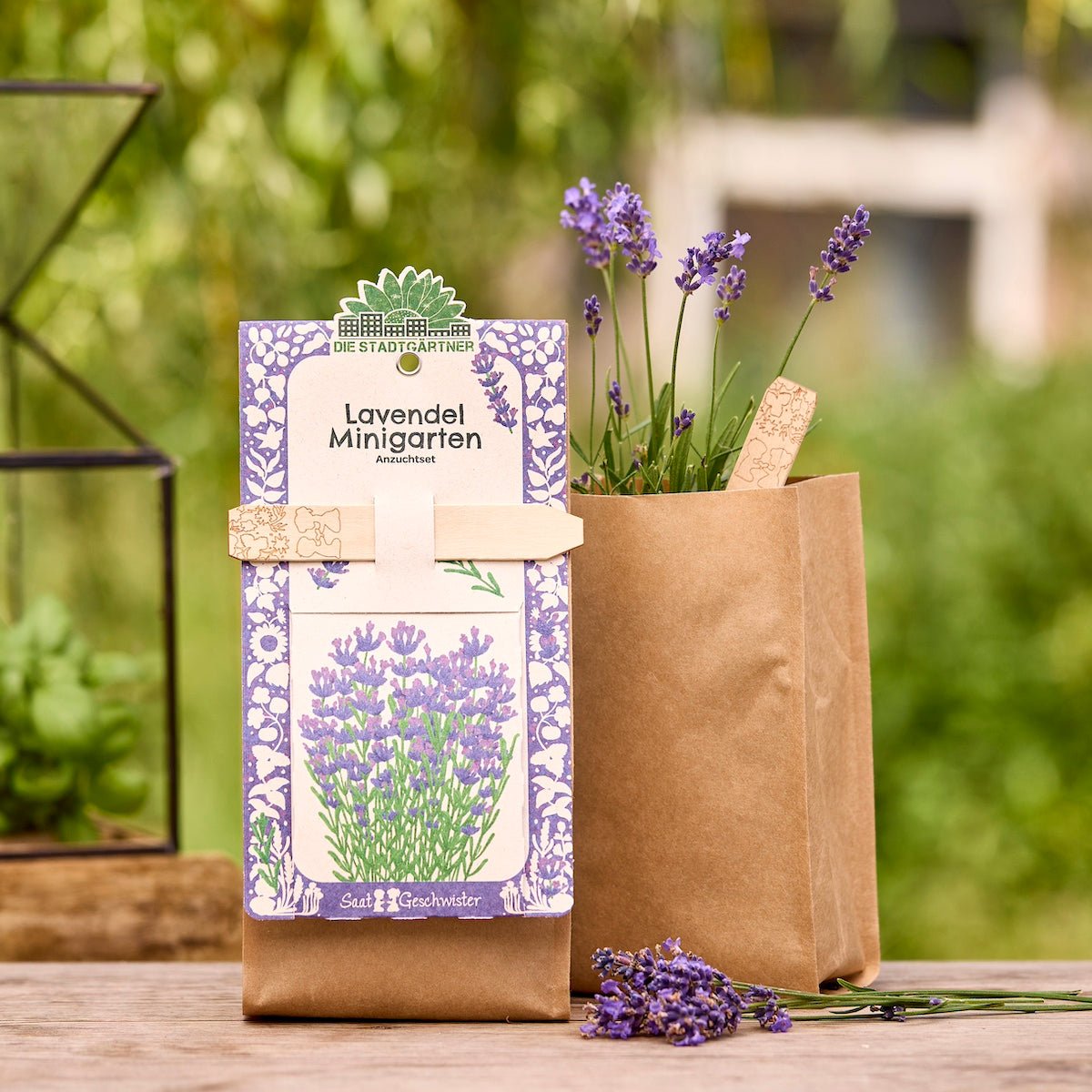 Anzuchtset – Minigarten BIO-Lavendel - Wurzelwerk Design