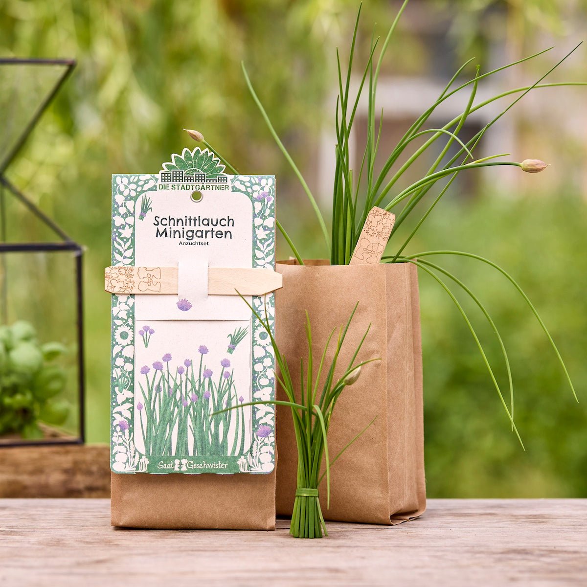 Anzuchtset – Minigarten BIO-Schnittlauch - Wurzelwerk Design