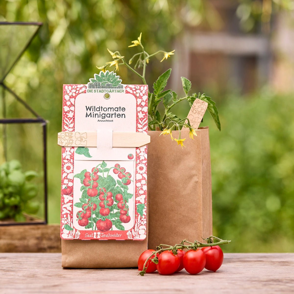 Anzuchtset – Minigarten BIO-Wildtomate - Wurzelwerk Design