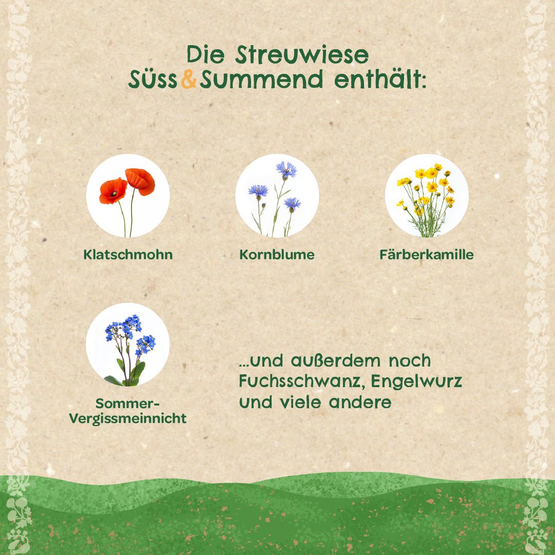 Streuwiese "Süß &amp; Summend" - Wurzelwerk Design