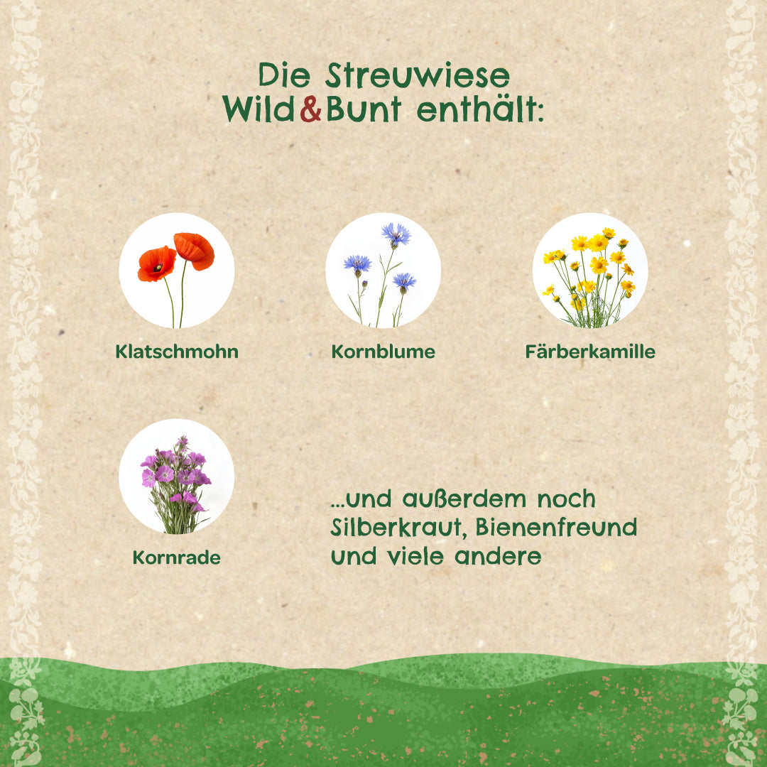 Streuwiese "Wild &amp; Bunt"