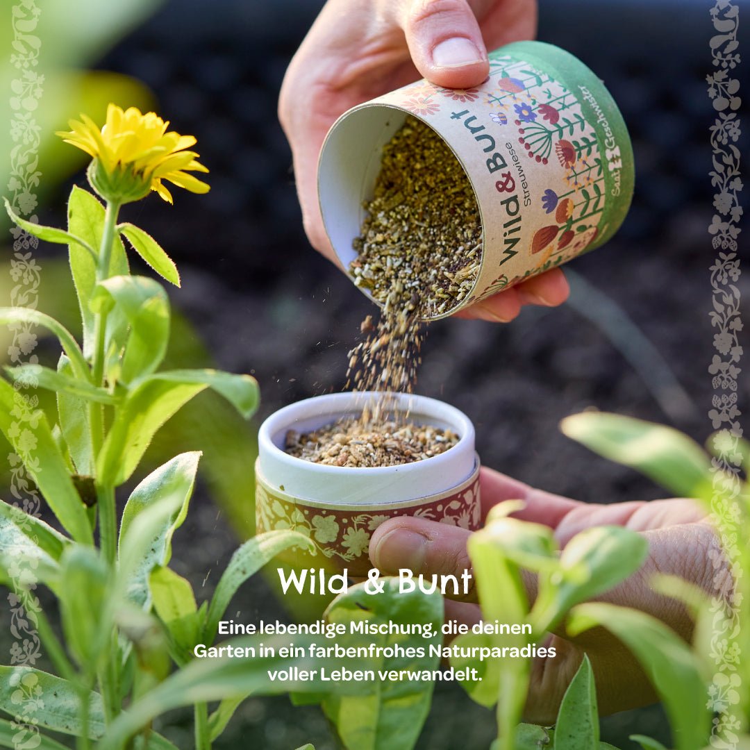 Streuwiese "Wild &amp; Bunt" - Wurzelwerk Design