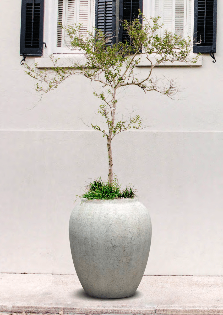 Pflanzgefäß Long Jar – Eschbach Antique mit antiker Patina - Wurzelwerk Design