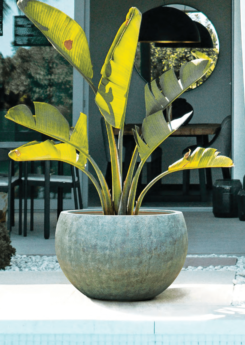 Pflanzkübel New Egg Pot – Eschbach Antique mit antiker Patina - Wurzelwerk Design