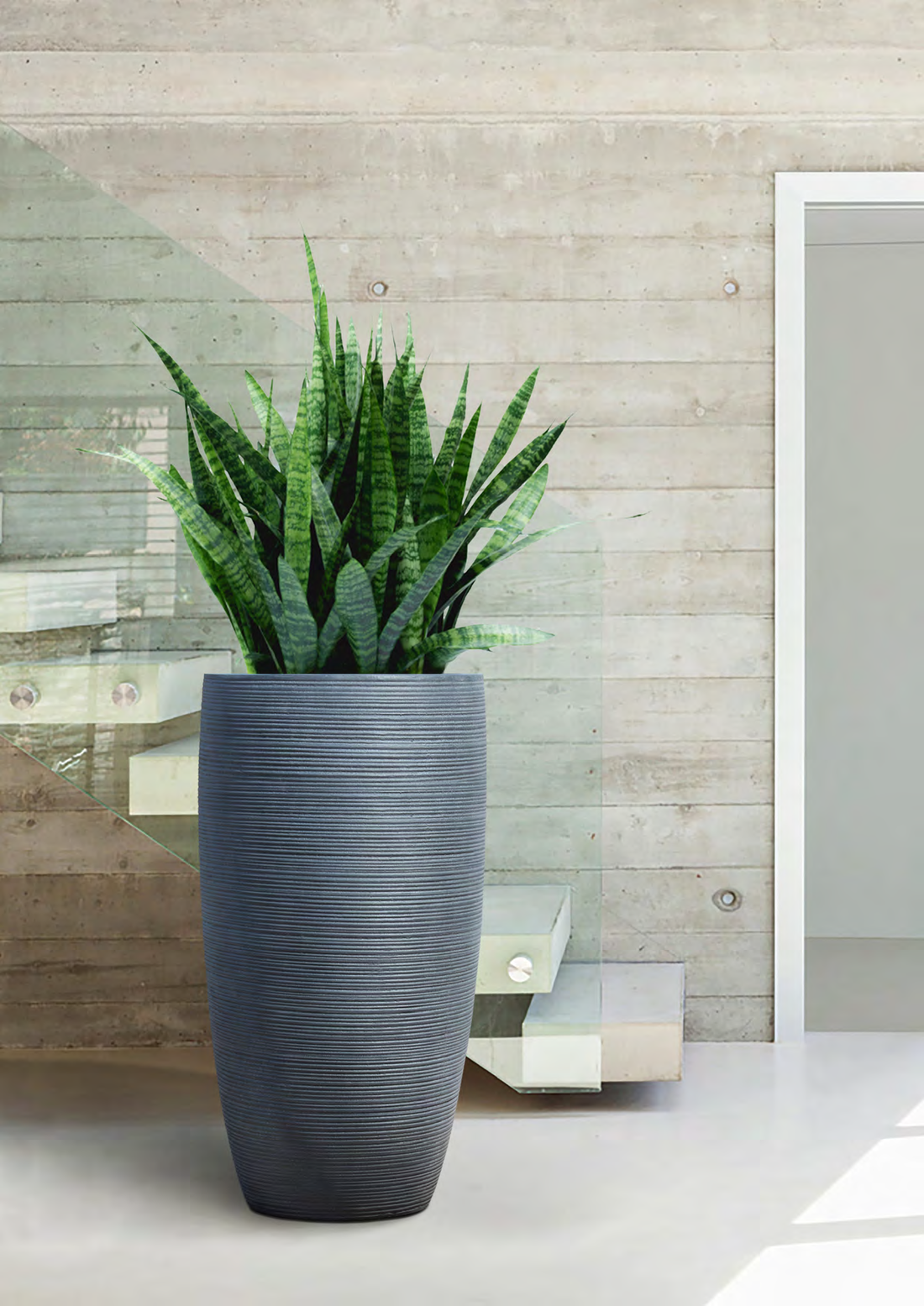 Pflanzkübel New Egg Pot – Eschbach Concrete in moderner Betonoptik