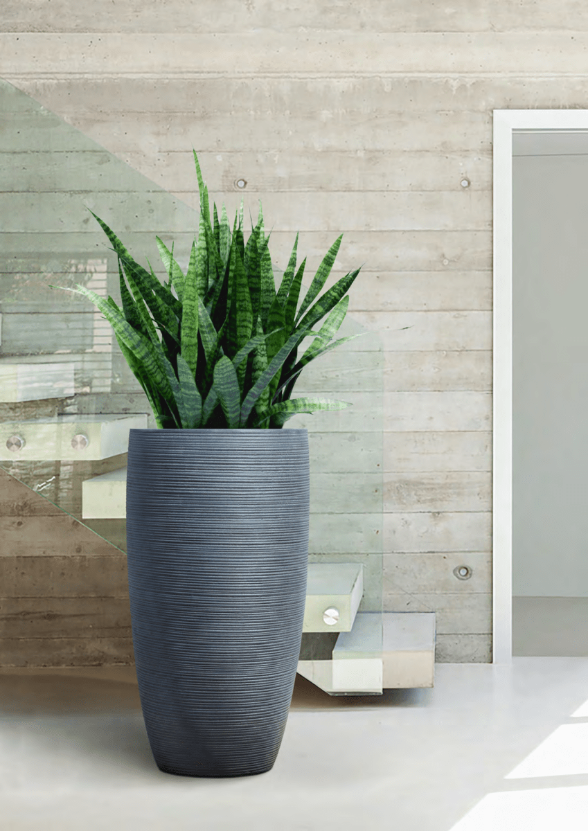 Pflanzkübel New Egg Pot – Eschbach Concrete in moderner Betonoptik - Wurzelwerk Design