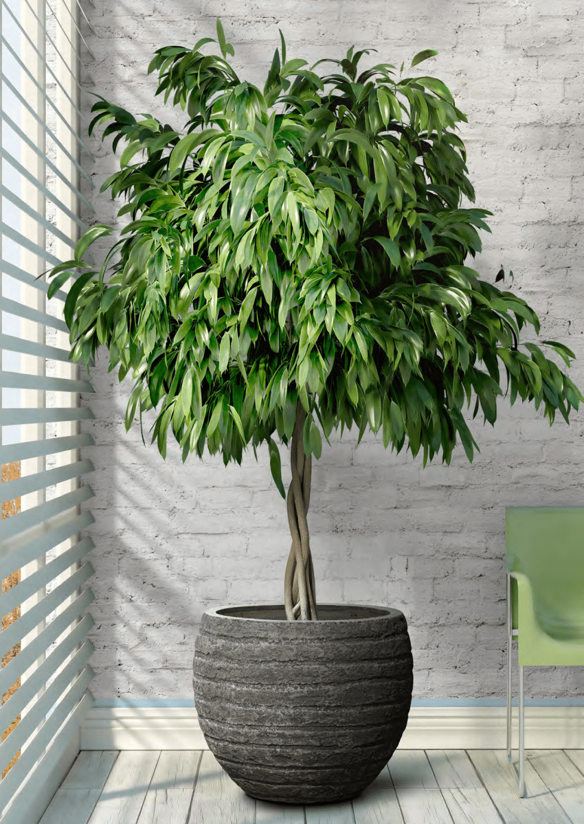 Pflanzschale Bowl | Horizontal – Eschbach Rock Stone in natürlicher Steinoptik - Wurzelwerk Design