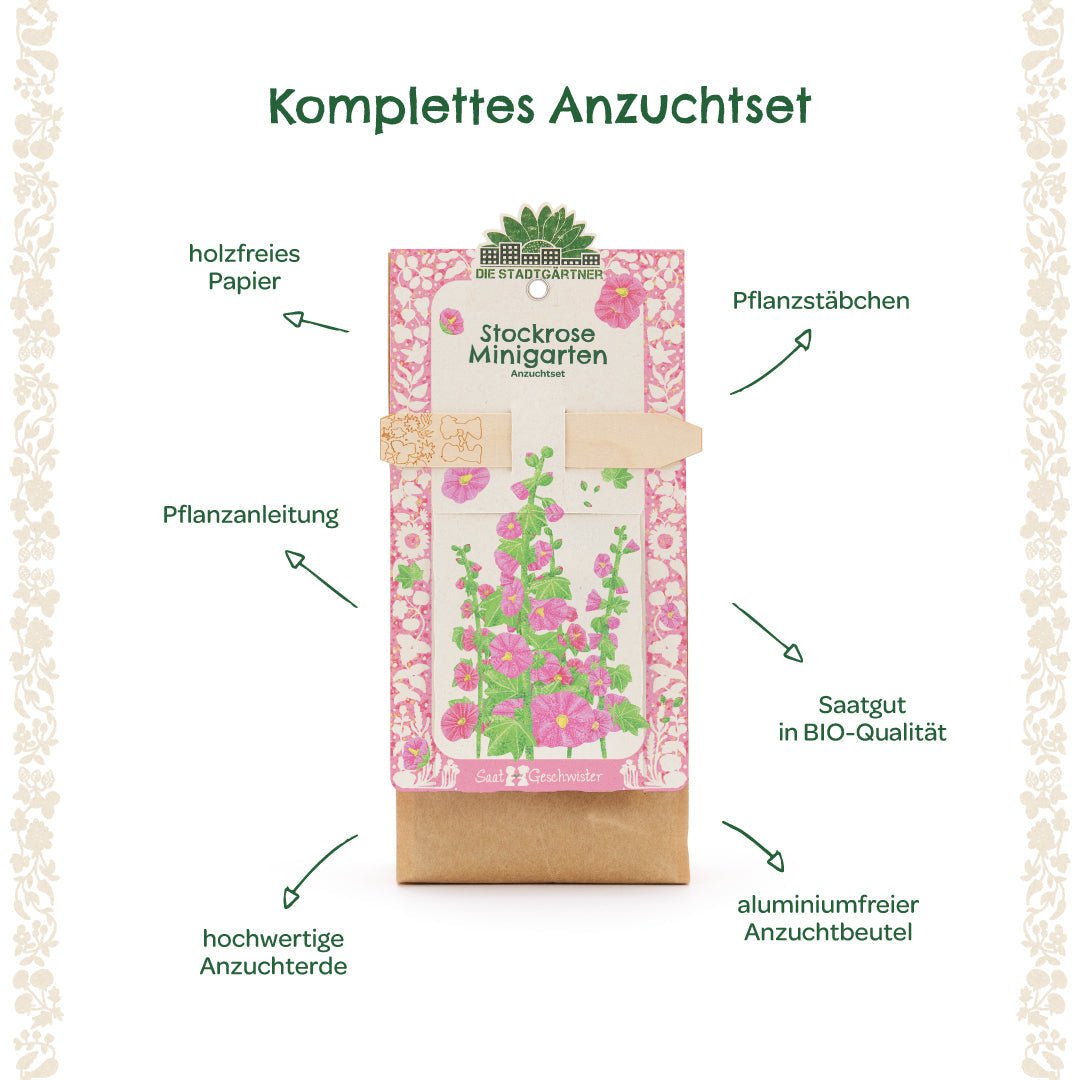 Anzuchtset – Minigarten Stockrose - Wurzelwerk Design
