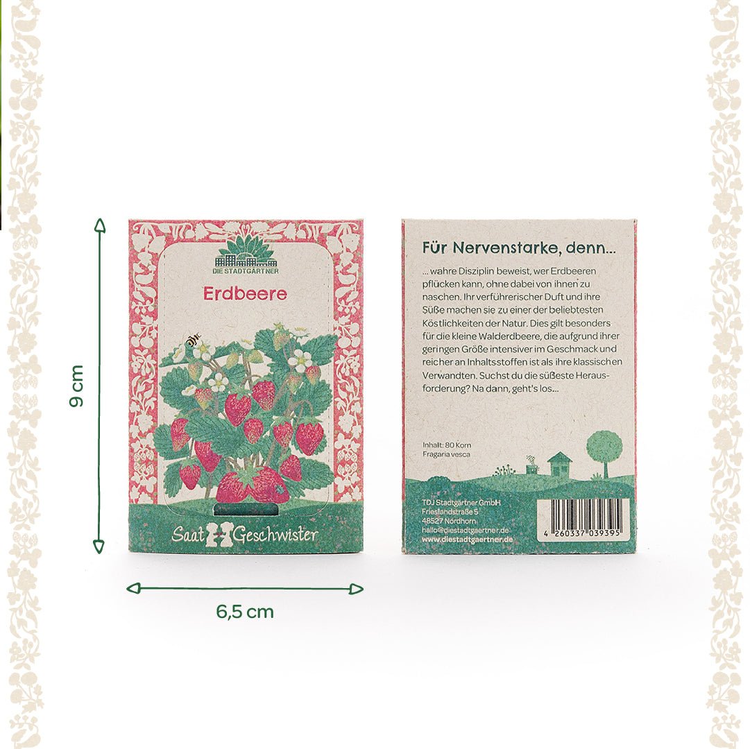 Saatgut Erdbeere - Wurzelwerk Design