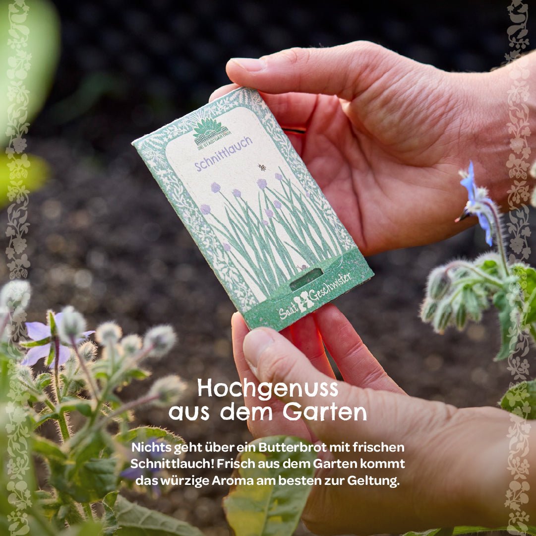 BIO-Saatgut Schnittlauch - Wurzelwerk Design