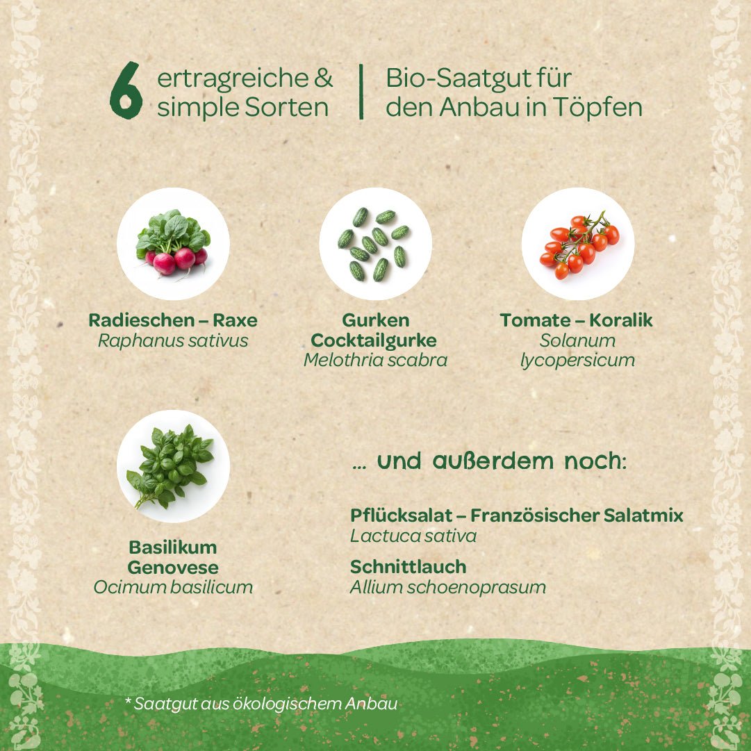 BIO-Saatgut-Set "Balkongemüse" - Wurzelwerk Design