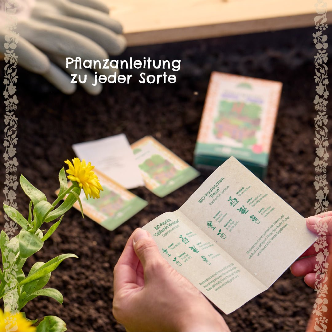 BIO-Saatgut-Set "Küchenkräuter" - Wurzelwerk Design