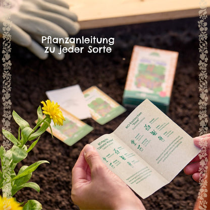 BIO-Saatgut-Set "Küchenkräuter" - Wurzelwerk Design