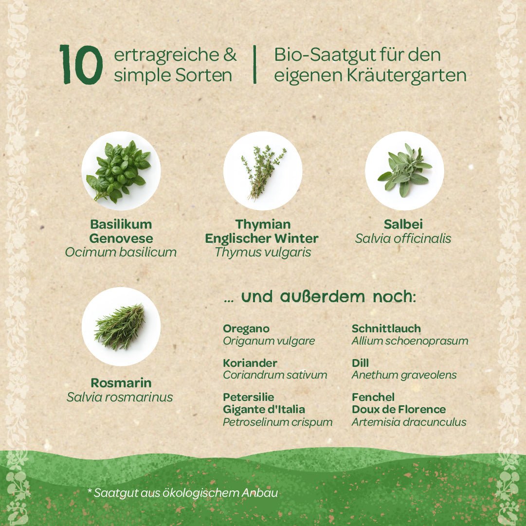 BIO-Saatgut-Set "Küchenkräuter" - Wurzelwerk Design