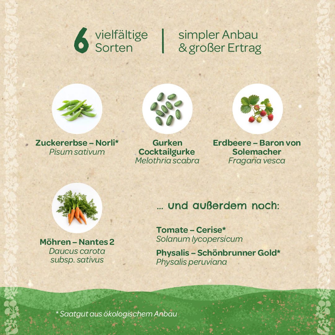 BIO-Saatgut-Set "Naschgarten" - Wurzelwerk Design