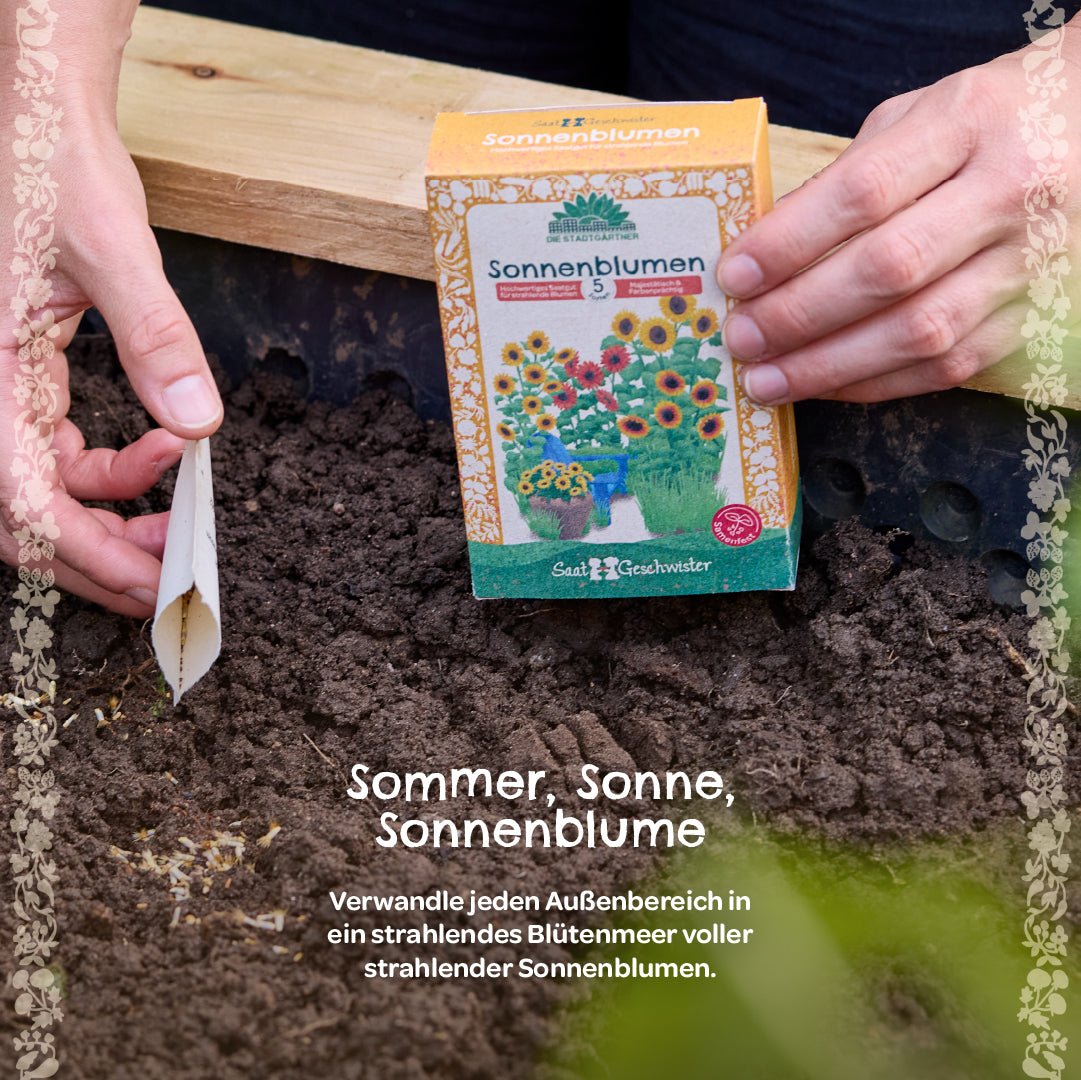 Saatgut-Set "Sonnenblumen" - Wurzelwerk Design