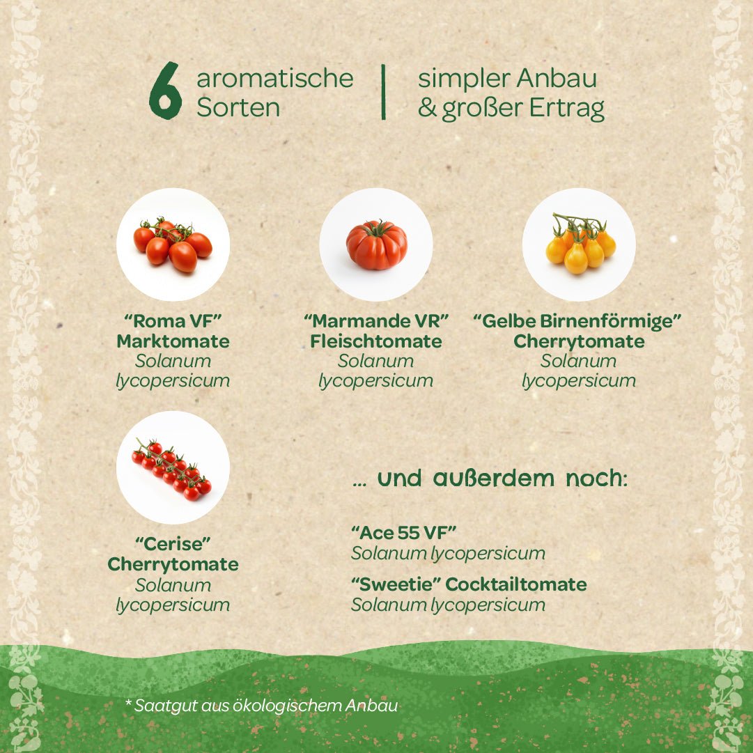BIO-Saatgut-Set "Tomaten" - Wurzelwerk Design