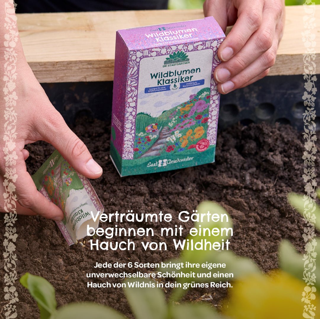 Saatgut-Set "Wildblumen" - Wurzelwerk Design