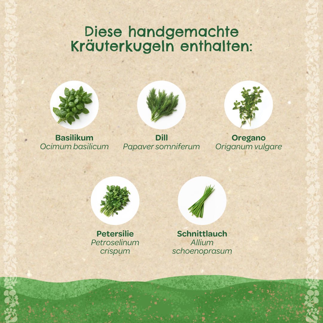 Kräuterkugeln – Saatkugeln mit Kräutern - Wurzelwerk Design