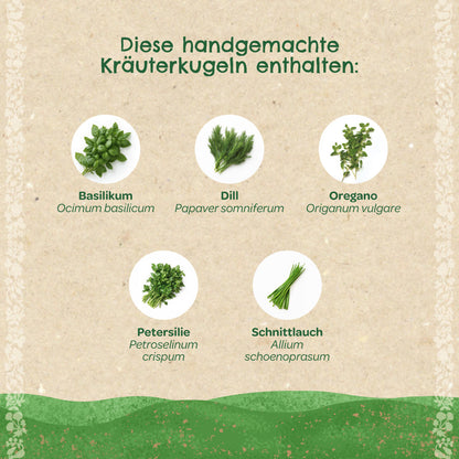 Kräuterkugeln – Saatkugeln mit Kräutern