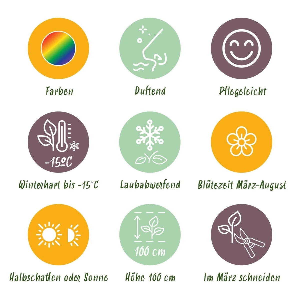 Stauden Paket Duftend | 8 Stauden für 1 m² – Verschiedene Farben – Pflegeleicht &amp; winterhart - Wurzelwerk Design