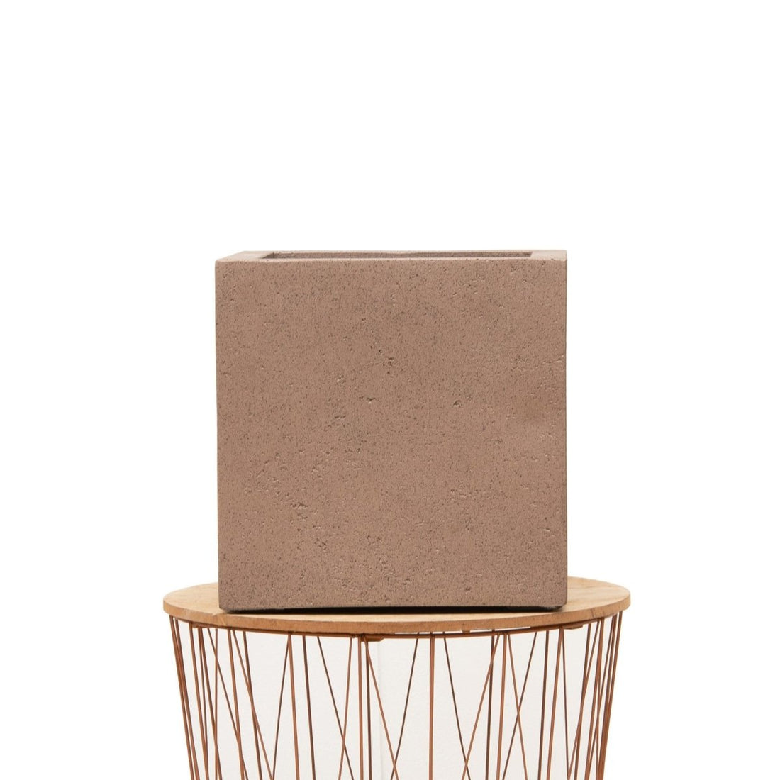 Everspring Grigio Cube Bronze Pflanztopf, rund, Durchmesser 60 cm, Höhe 60 cm, aus Bronze, mit Pflanze.