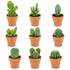 Mini Kakteen Mix in Terrakottatöpfen, 9 Stück, Ø 8,1 cm, Höhe 5-10 cm, von Everspring, natürliche Pflanzen für drinnen.