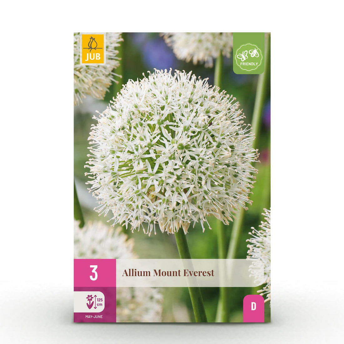 Blumenzwiebeln Allium Mount Everest | 3 Stück Weiß – Zwiebelgröße 16/18 – XXL Pack