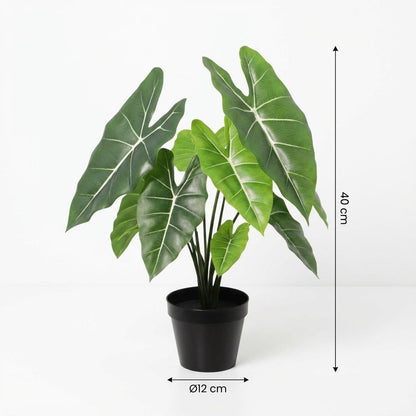 Künstliche Alocasia Polly Pflanze von Everspring, 40 cm hoch, detailreiche Nachbildung mit grünen Blättern.