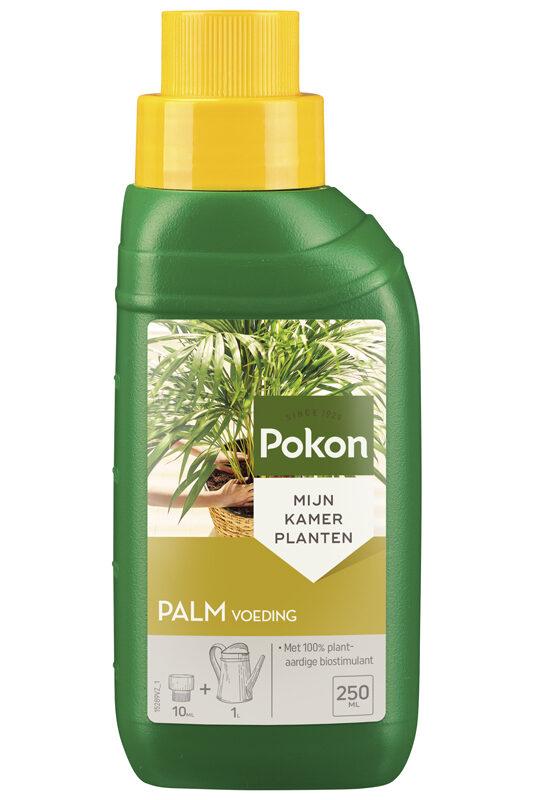 Pokon Palmen Pflanzennahrung 250 ml Flüssigdünger für Zimmer- und Kübelpalmen für sattes Grün und kräftige Palmwedel