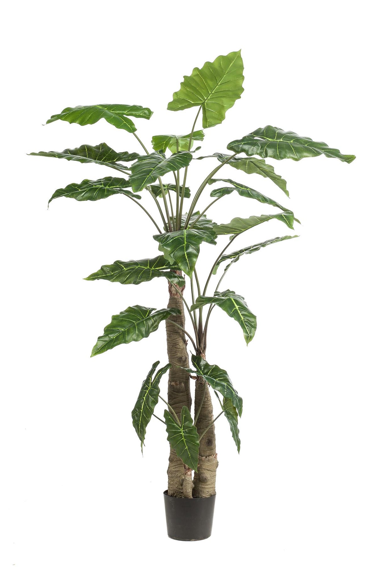 Kunstpflanze Alocasia (Elefantenohr) von Everspring, realistische grüne Pflanze, 70 bis 180 cm hoch, für Wohnraumdekoration