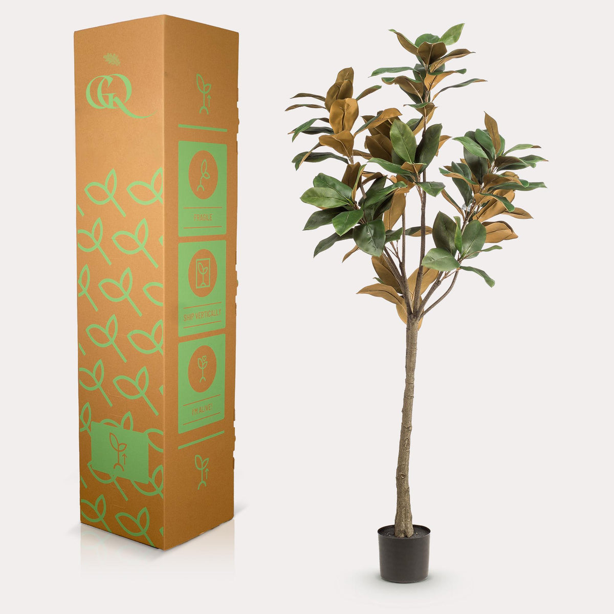 Kunstpflanze Magnolia Grandiflora von Everspring, 150cm oder 180cm hoch, detailreiche grüne Blätter und blühende Magnolia in Top-Ansicht
