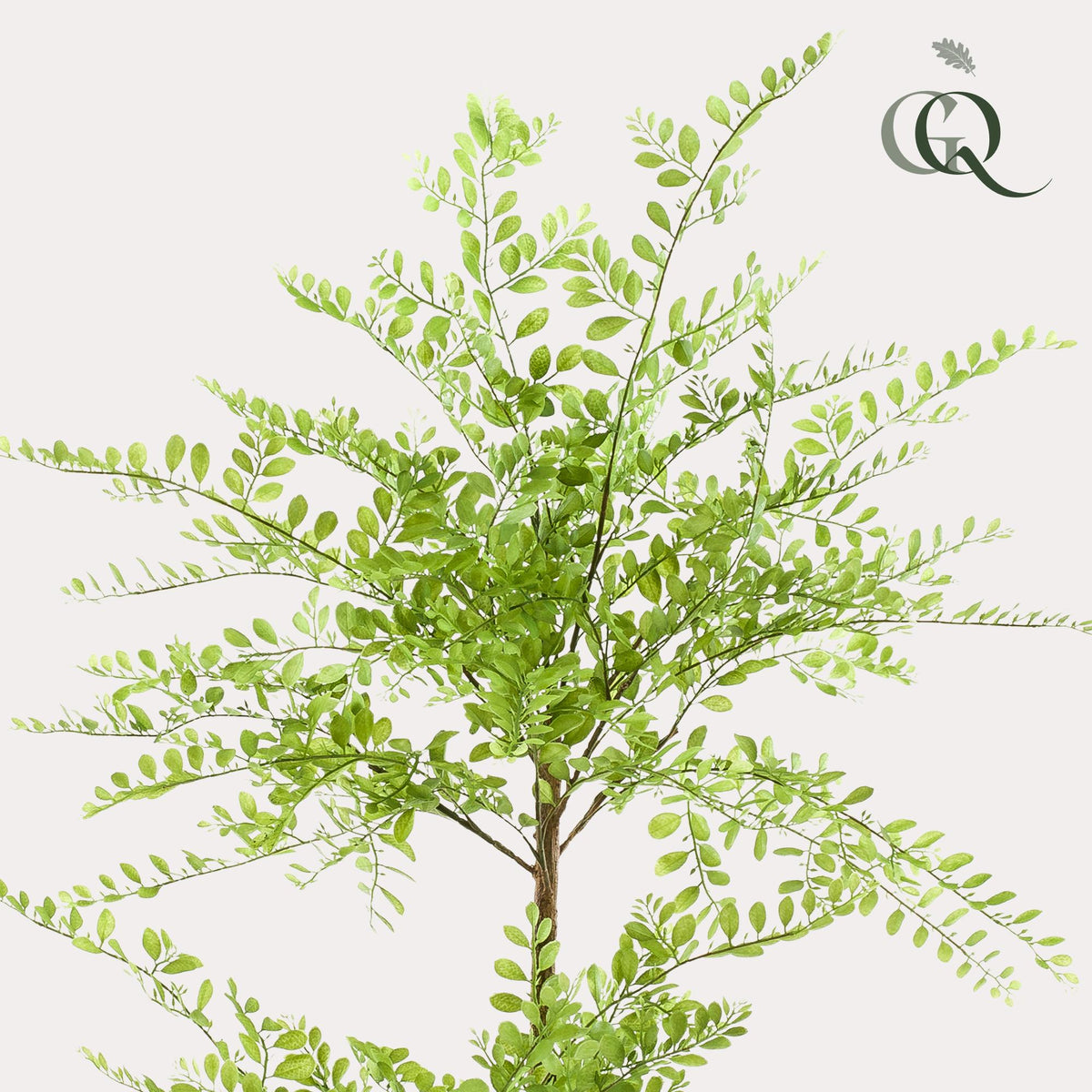 Kunstpflanze Honigbaum (Sophora) 140 cm von Everspring, detailreiche grüne Kunstpflanze mit blühenden Zweigen.