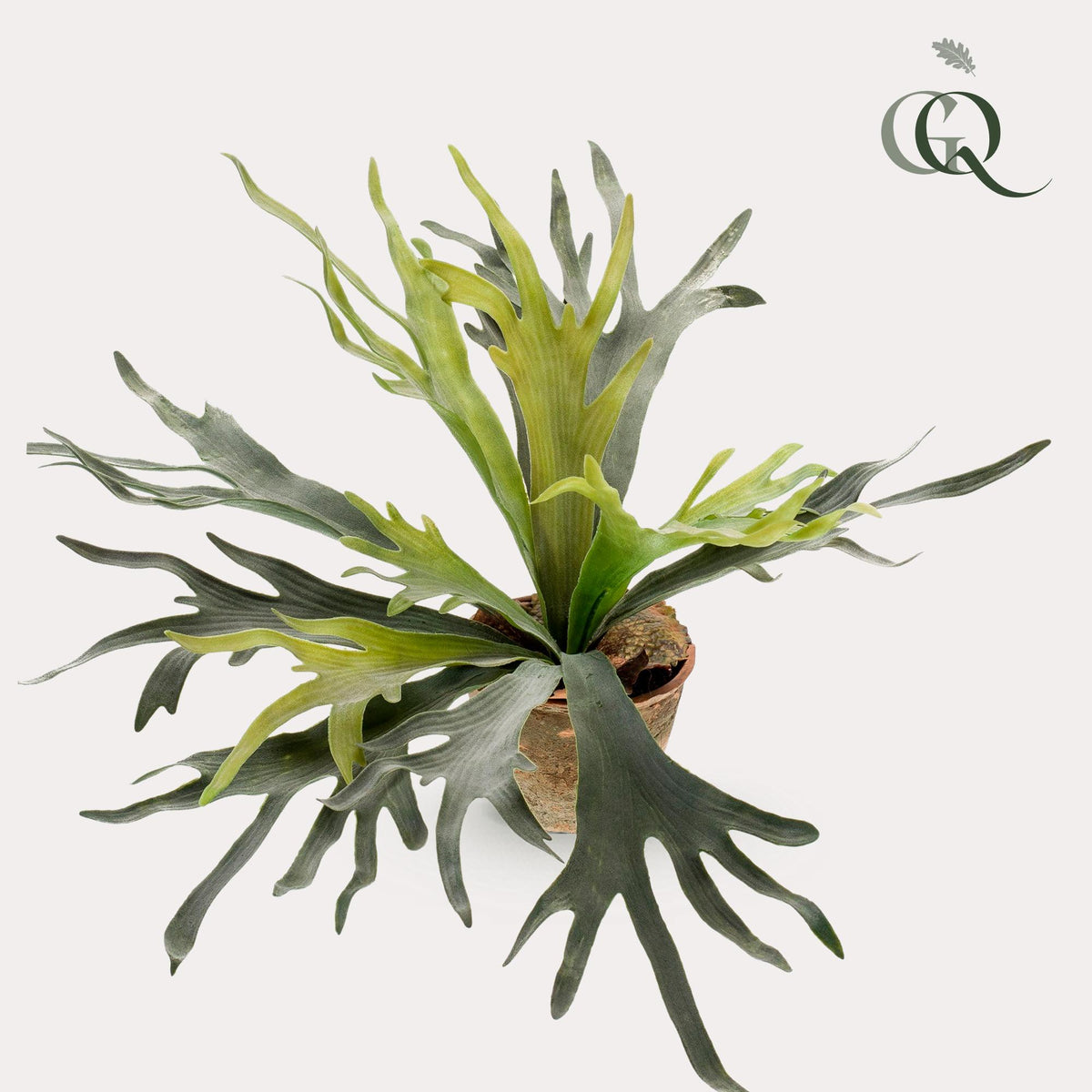 Everspring Kunstpflanze Staghorn Farn, 50 cm, realistische Geweihfarn-Planze mit grünen Blättern, ideal für Dekorationen