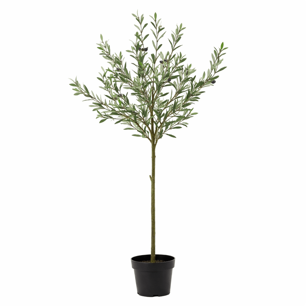 Pflegefreier Everspring Olivenbaum in 150, 170 oder 172 cm Höhe, grüne Blätter, ideale Zimmer- oder Gartendekoration