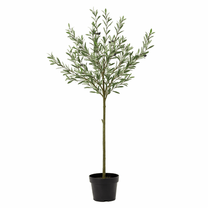 Pflegefreier Everspring Olivenbaum in 150, 170 oder 172 cm Höhe, grüne Blätter, ideale Zimmer- oder Gartendekoration