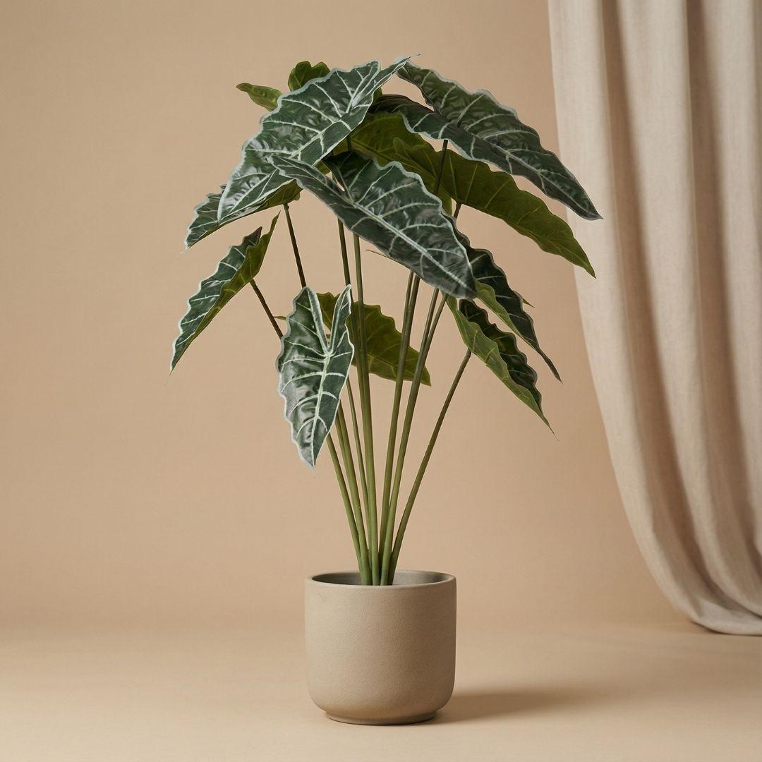 Kunstpflanze Alocasia von Everspring, 80 cm hohe, realistisch aussehende Zimmerpflanze mit grünen Blättern.