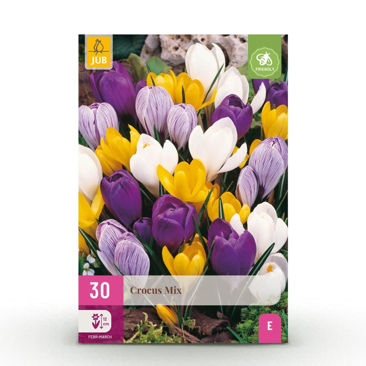 Blumenzwiebeln Crocus Large Flowering Mix | 30 Stück Farbenmix – Zwiebelgröße 7/8 – XXL Pack - Wurzelwerk Design