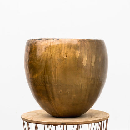 Topf Fabien Old Camel - Wurzelwerk Design