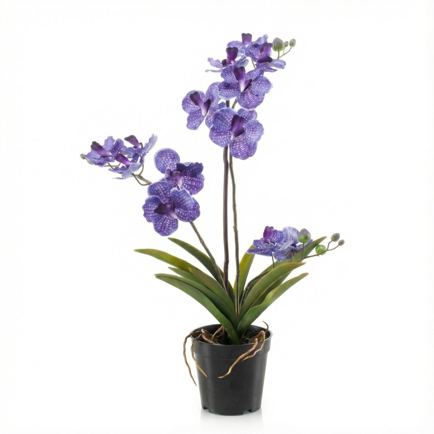 Lila künstliche Vanda Orchidee 60 cm in Topf, detailreiche Nachbildung der Everspring Pflanze, ideal für Dekorationszwecke
