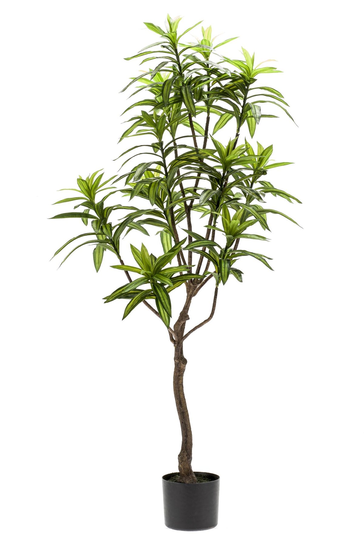 Kunstpflanze Dracaena, Drachenbaum, 130cm, 155cm oder 190cm, Everspring, realistische grüne Zimmerpflanze
