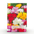 Blumenzwiebeln Freesia Double Mix | 40 Stück Farbenmix – Zwiebelgröße 5/6 – XXL Pack - Wurzelwerk Design