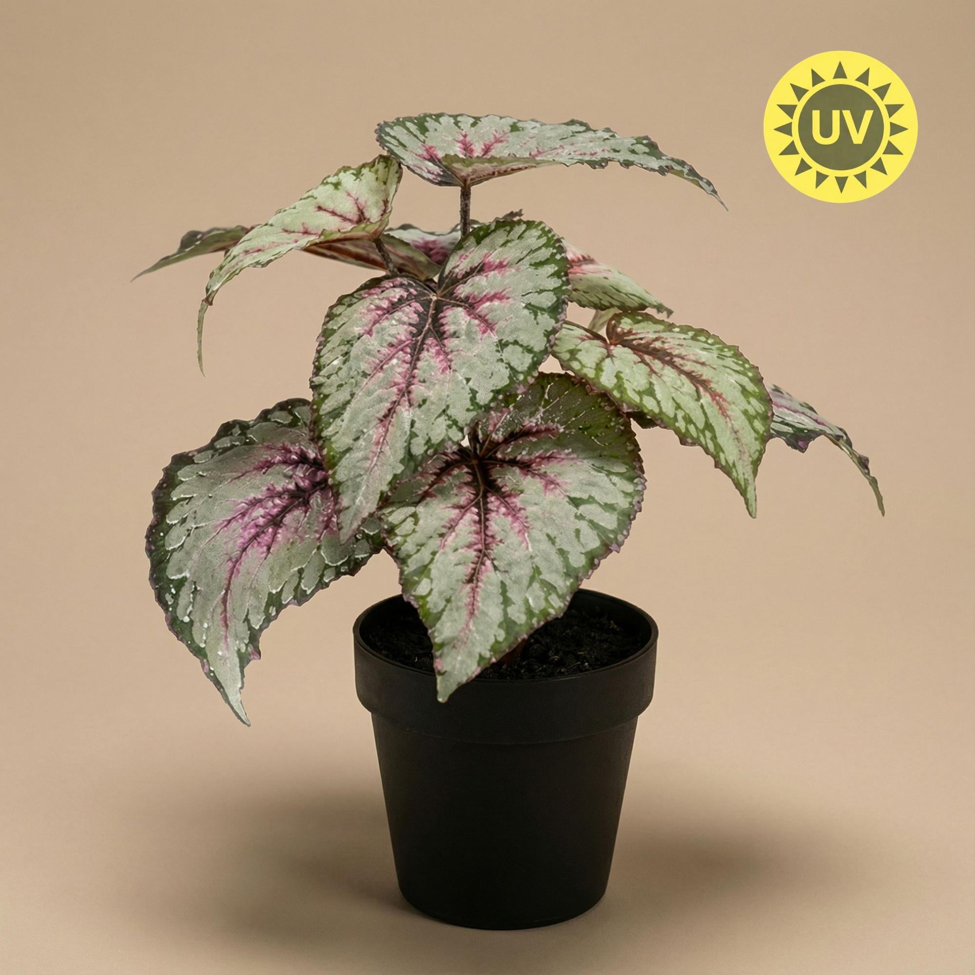Künstliche Begonie im 26 cm Topf, UV-beständig, perfekt für Indoor und Outdoor, von Everspring, detailreiche Nachbildung