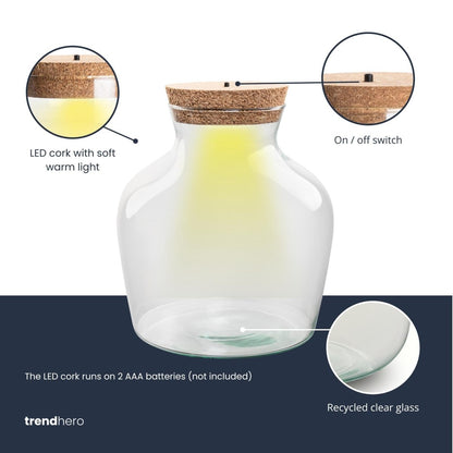 Terrarienflasche mit LED - Beleuchtung - Öffnet ein Terrarium - Little Joe - ↑ 22 cm - Ø 20 cm - Wurzelwerk Design