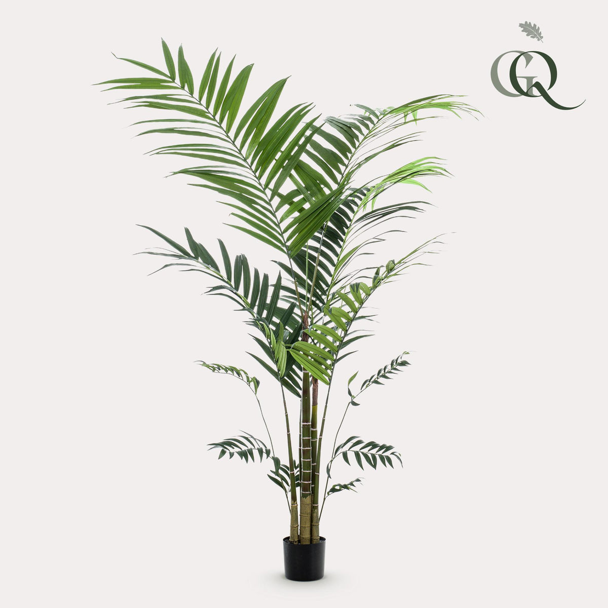 Künstliche Kentia-Palme von Everspring, 65cm bis 210cm, detailreiche, realistische Zimmerpflanze als Dekoration