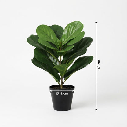 Künstliche Ficus lyrata (Geigenfeige) von Everspring, 150 cm hoch, mit grünen Blättern, perfekt für Wohnräume.