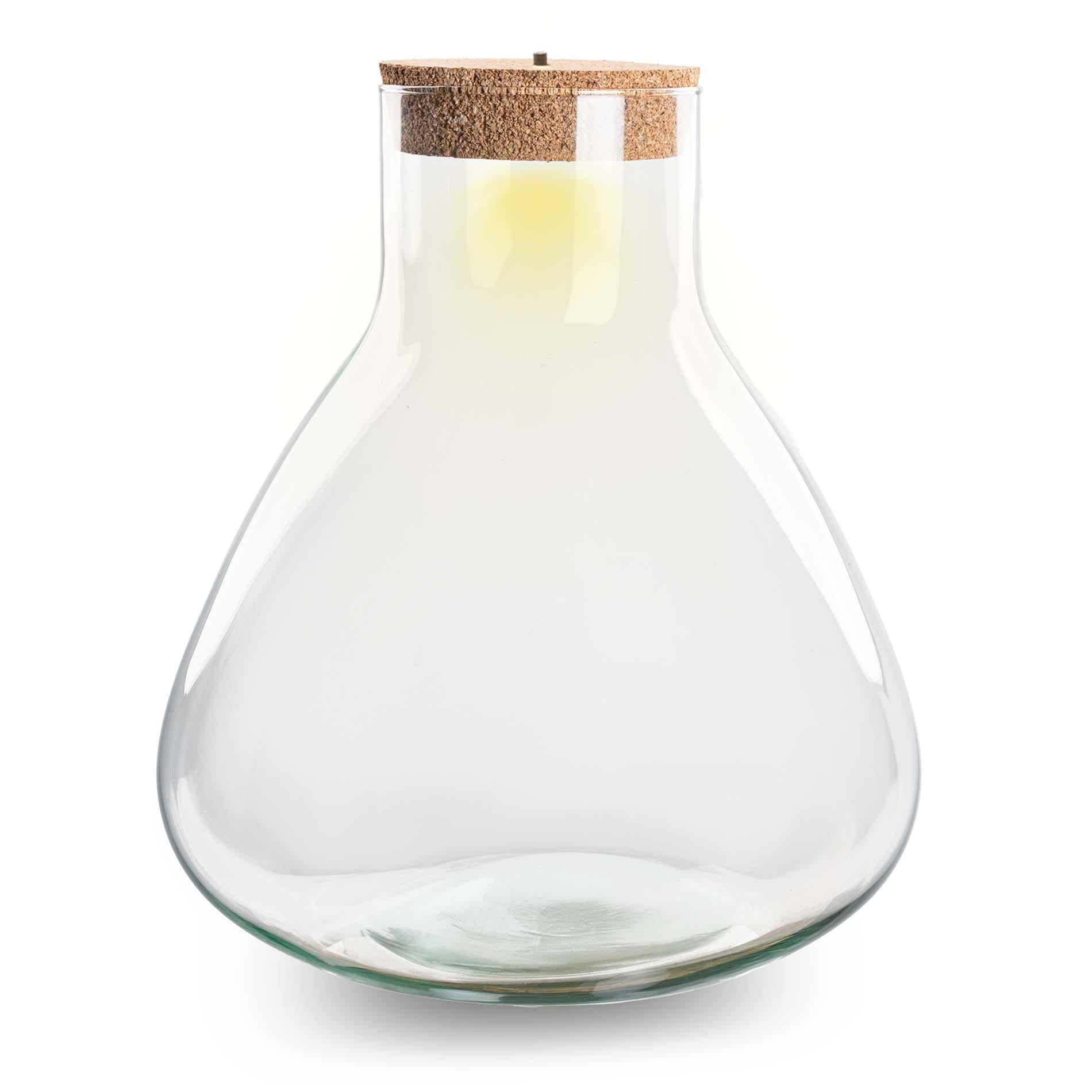 Everspring Terrariumflasche Sam XL mit Beleuchtung, Ø 30 cm und 32 cm hoch, stilvolles Standard-Design für Pflanzen.