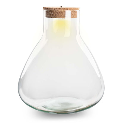 Everspring Terrariumflasche Sam XL mit Beleuchtung, Ø 30 cm und 32 cm hoch, stilvolles Standard-Design für Pflanzen.